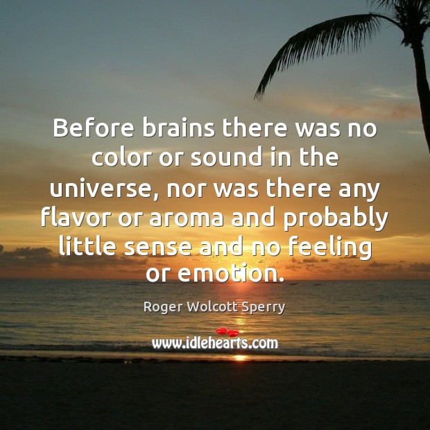 Before brains there was no color or sound in the universe, nor Roger Wolcott Sperry Picture Quote