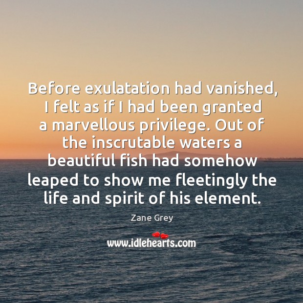 Before exulatation had vanished, I felt as if I had been granted Zane Grey Picture Quote