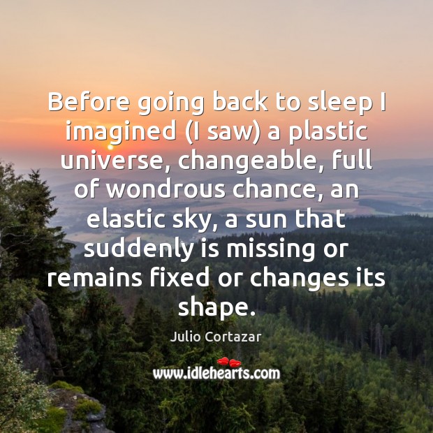 Before going back to sleep I imagined (I saw) a plastic universe, Julio Cortazar Picture Quote