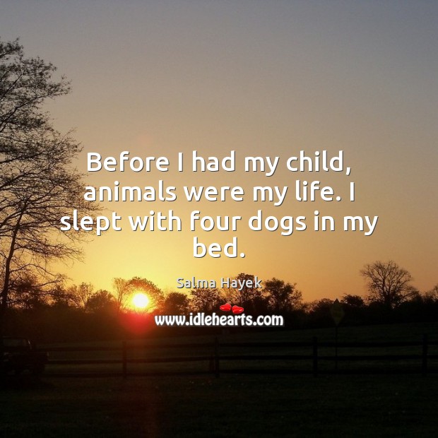Before I had my child, animals were my life. I slept with four dogs in my bed. Salma Hayek Picture Quote