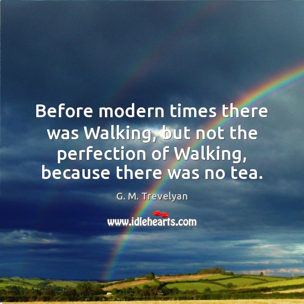 Before modern times there was Walking, but not the perfection of Walking, G. M. Trevelyan Picture Quote