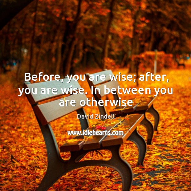 Before, you are wise; after, you are wise. In between you are otherwise David Zindell Picture Quote