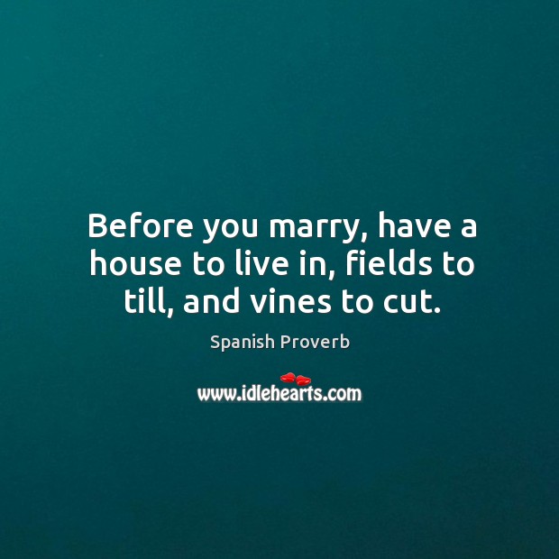 Before you marry, have a house to live in, fields to till, and vines to cut. Spanish Proverbs Image