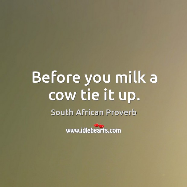 Before you milk a cow tie it up. South African Proverbs Image