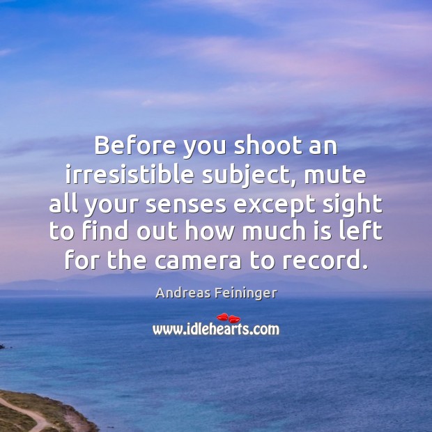 Before you shoot an irresistible subject, mute all your senses except sight Andreas Feininger Picture Quote