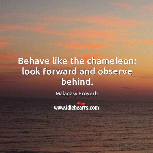 Behave like the chameleon: look forward and observe behind. Malagasy Proverbs Image