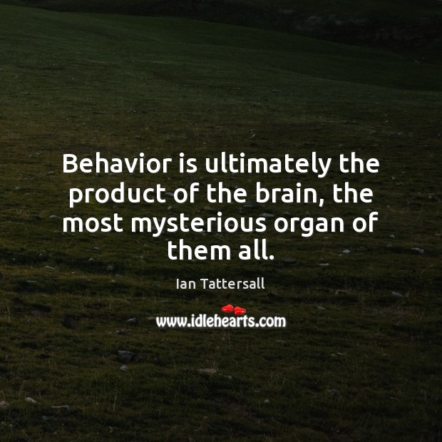 Behavior is ultimately the product of the brain, the most mysterious organ of them all. Ian Tattersall Picture Quote