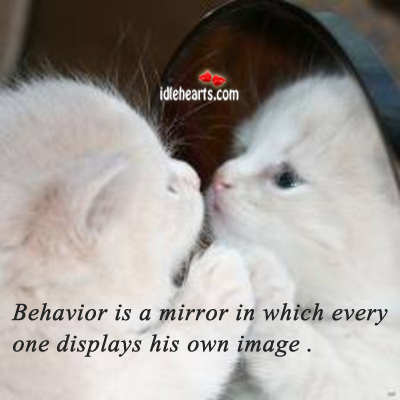 Behavior is a mirror in which every one. Image