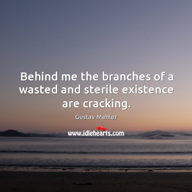 Behind me the branches of a wasted and sterile existence are cracking. Gustav Mahler Picture Quote