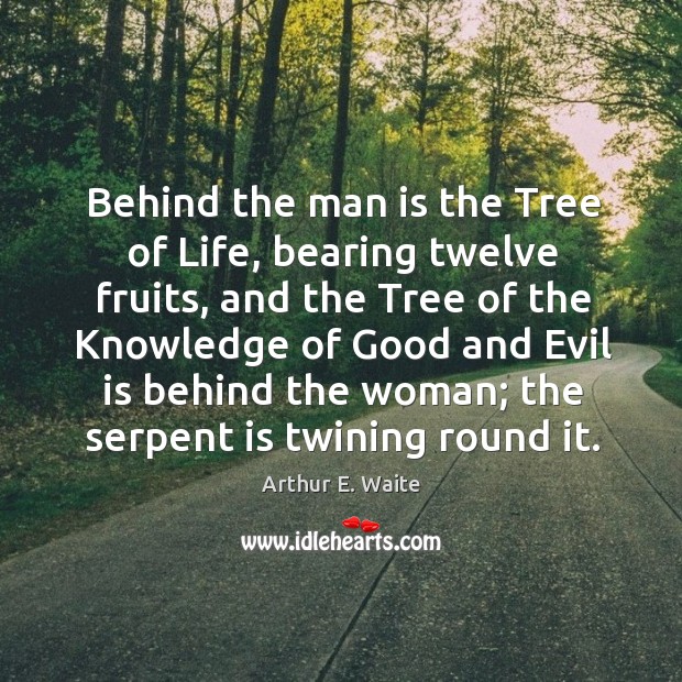 Behind the man is the tree of life, bearing twelve fruits, and the tree of the knowledge of Image