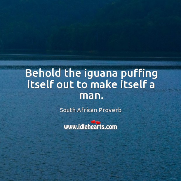 Behold the iguana puffing itself out to make itself a man. South African Proverbs Image