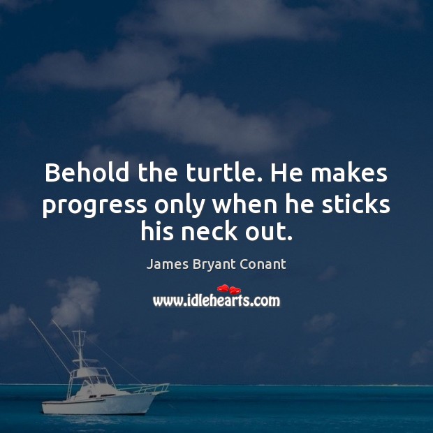 Behold the turtle. He makes progress only when he sticks his neck out. James Bryant Conant Picture Quote