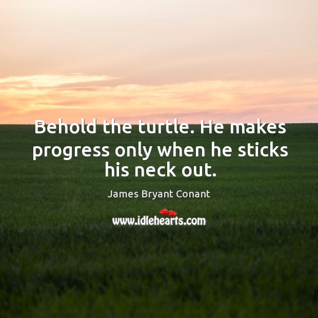 Behold the turtle. He makes progress only when he sticks his neck out. James Bryant Conant Picture Quote