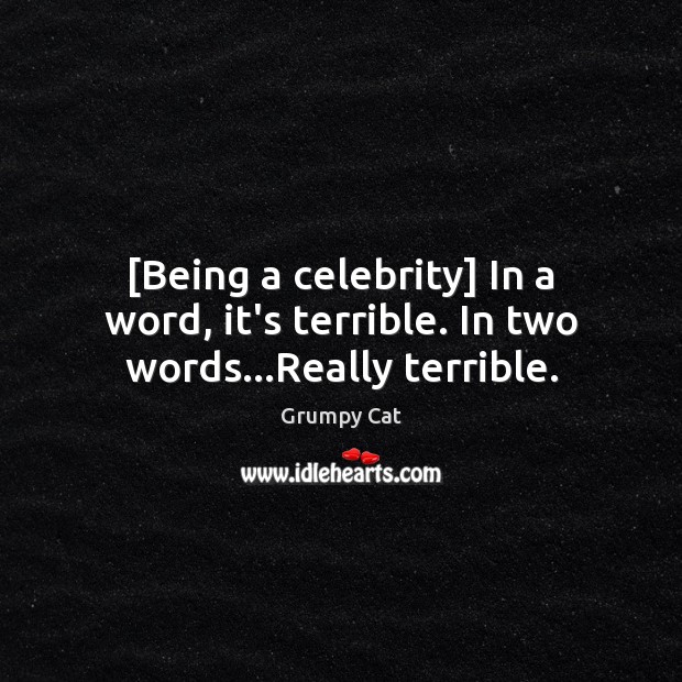 [Being a celebrity] In a word, it’s terrible. In two words…Really terrible. Grumpy Cat Picture Quote