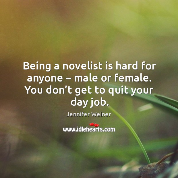 Being a novelist is hard for anyone – male or female. You don’t get to quit your day job. Image