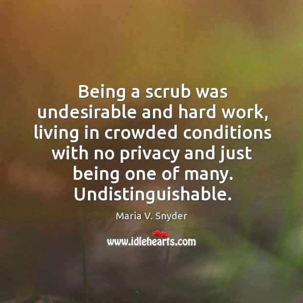 Being a scrub was undesirable and hard work, living in crowded conditions Maria V. Snyder Picture Quote