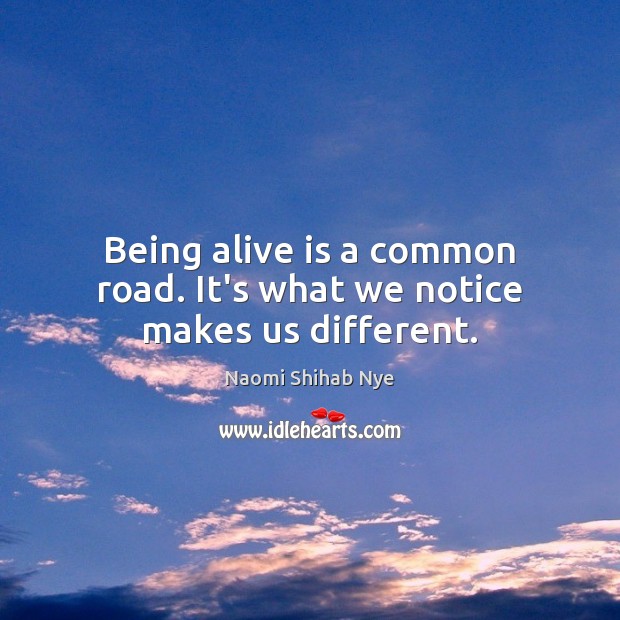 Being alive is a common road. It’s what we notice makes us different. Naomi Shihab Nye Picture Quote