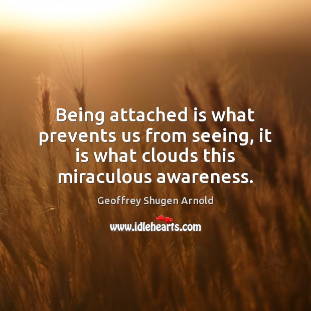 Being attached is what prevents us from seeing, it is what clouds Geoffrey Shugen Arnold Picture Quote