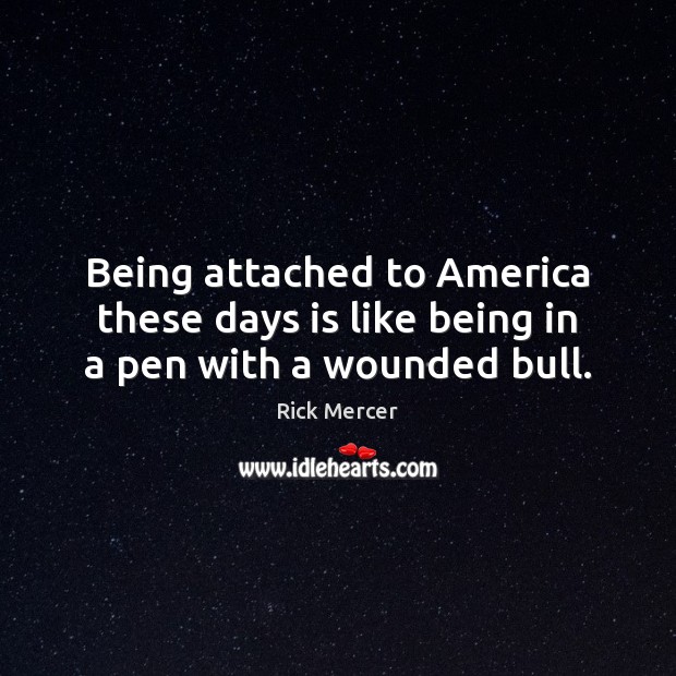 Being attached to America these days is like being in a pen with a wounded bull. Image
