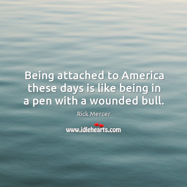 Being attached to america these days is like being in a pen with a wounded bull. Image