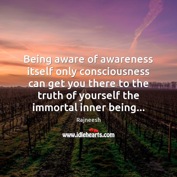 Being aware of awareness itself only consciousness can get you there to Image