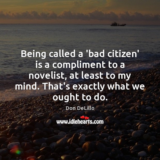Being called a ‘bad citizen’ is a compliment to a novelist, at Image