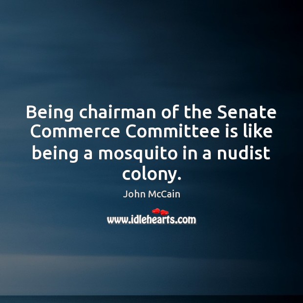 Being chairman of the Senate Commerce Committee is like being a mosquito John McCain Picture Quote