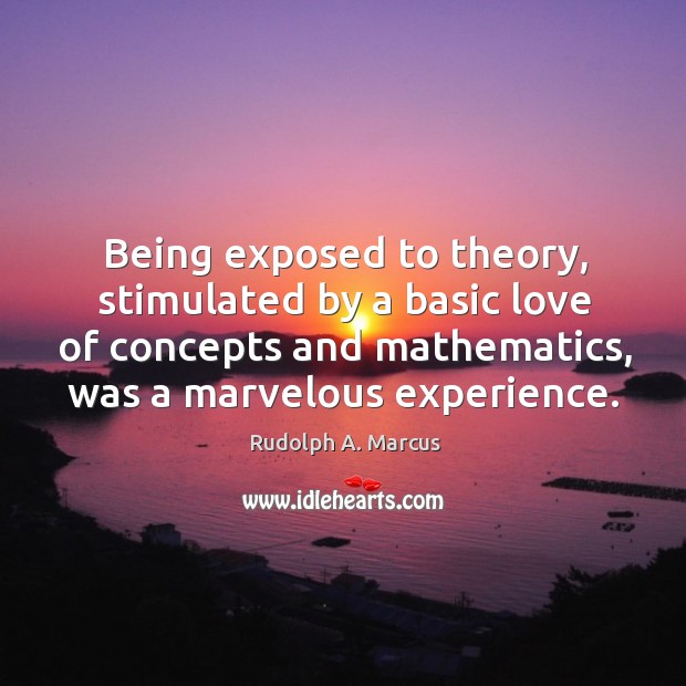 Being exposed to theory, stimulated by a basic love of concepts and mathematics, was a marvelous experience. Rudolph A. Marcus Picture Quote
