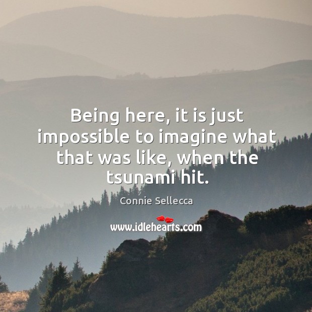 Being here, it is just impossible to imagine what that was like, when the tsunami hit. Connie Sellecca Picture Quote