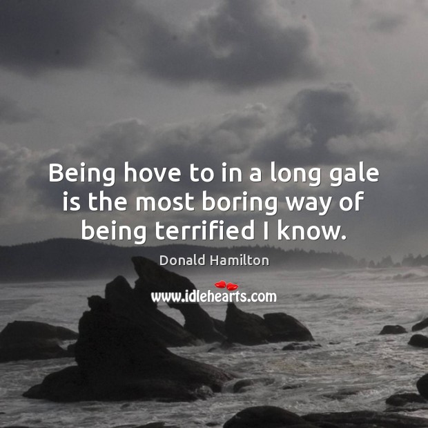 Being hove to in a long gale is the most boring way of being terrified I know. Donald Hamilton Picture Quote