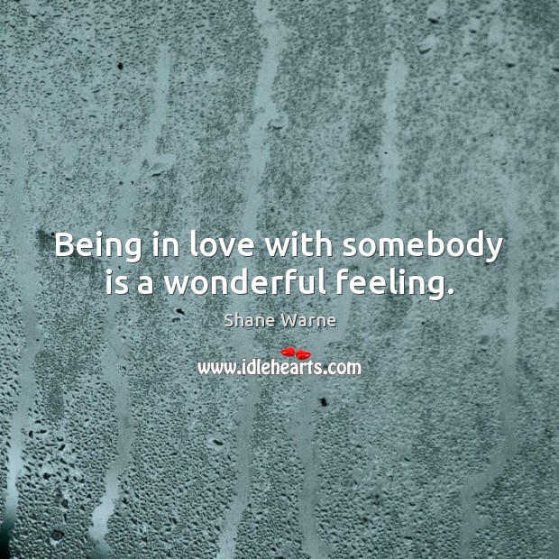 Being in love with somebody is a wonderful feeling. Shane Warne Picture Quote