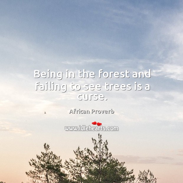 Being in the forest and failing to see trees is a curse. African Proverbs Image