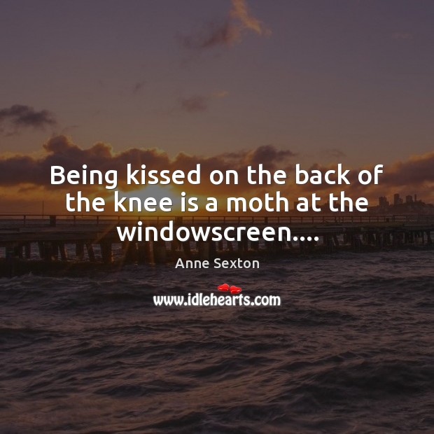 Being kissed on the back of the knee is a moth at the windowscreen…. Anne Sexton Picture Quote