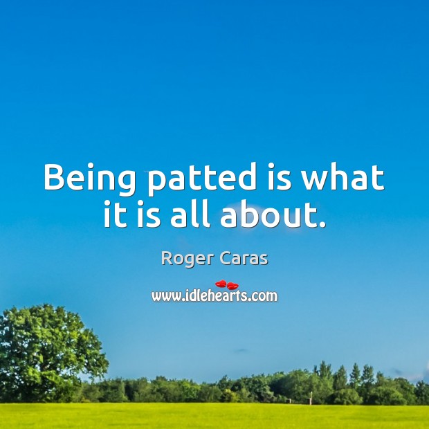 Being patted is what it is all about. Roger Caras Picture Quote