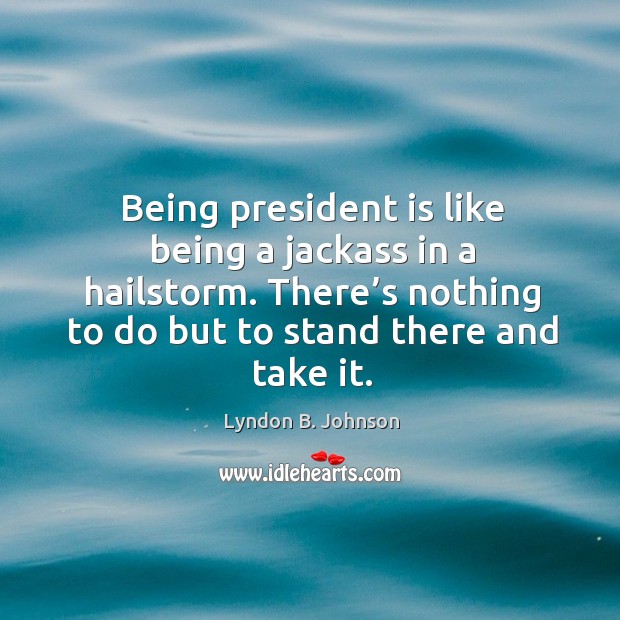 Being president is like being a jackass in a hailstorm. There’s nothing to do but to stand there and take it. Image