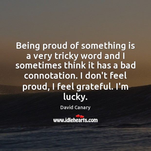 Being proud of something is a very tricky word and I sometimes David Canary Picture Quote