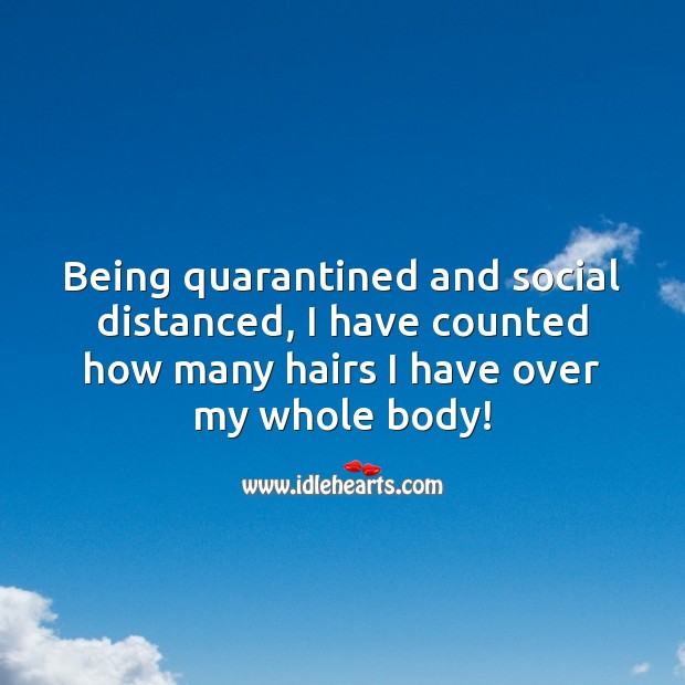 Being quarantined and social distanced, I have counted how many hairs I have. Social Distancing Quotes Image