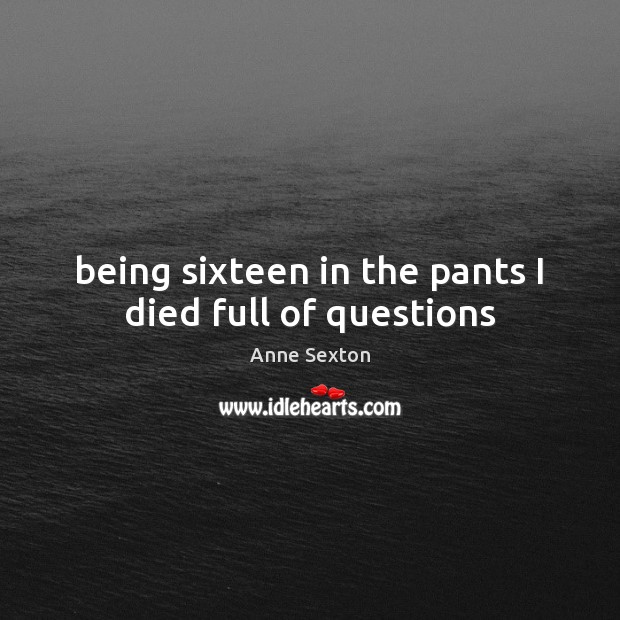 Being sixteen in the pants I died full of questions Anne Sexton Picture Quote