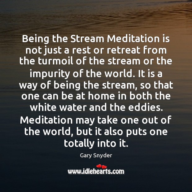 Being the Stream Meditation is not just a rest or retreat from Gary Snyder Picture Quote