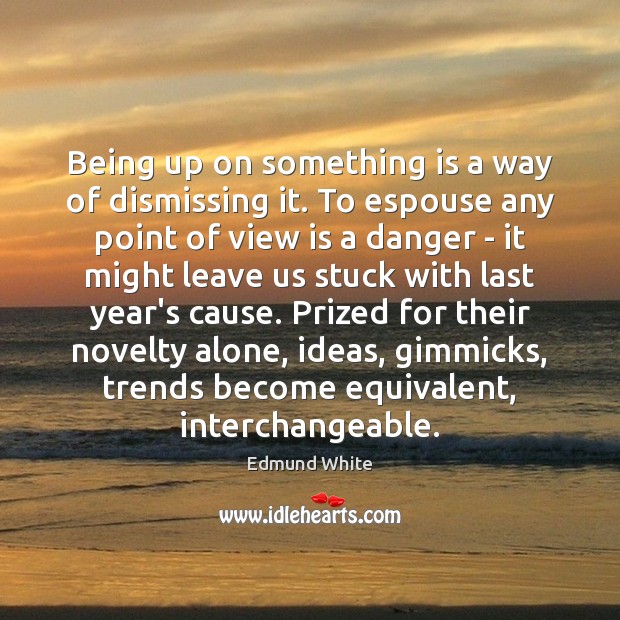 Being up on something is a way of dismissing it. To espouse Edmund White Picture Quote