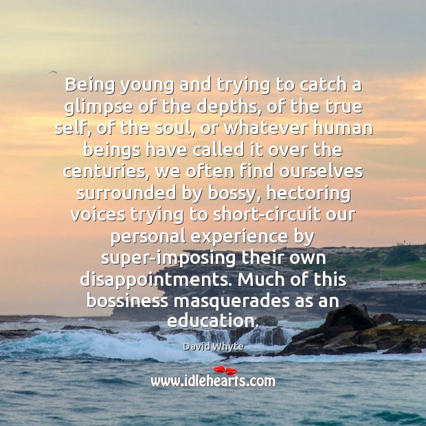Being young and trying to catch a glimpse of the depths, of David Whyte Picture Quote