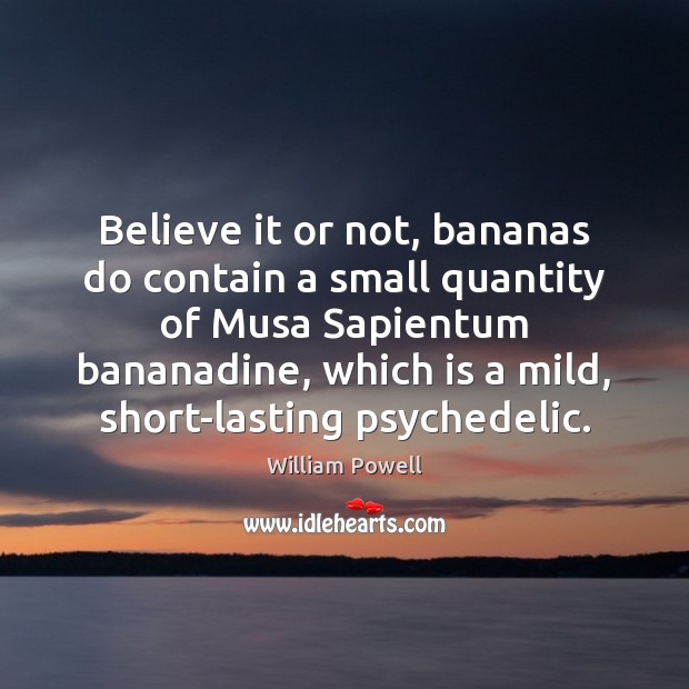 Believe it or not, bananas do contain a small quantity of Musa William Powell Picture Quote
