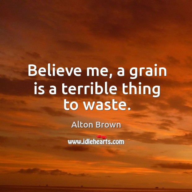 Believe me, a grain is a terrible thing to waste. Alton Brown Picture Quote