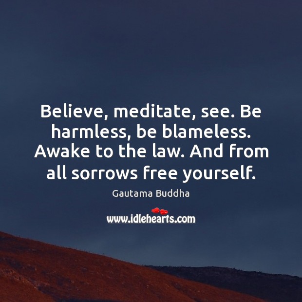 Believe, meditate, see. Be harmless, be blameless. Awake to the law. And Gautama Buddha Picture Quote