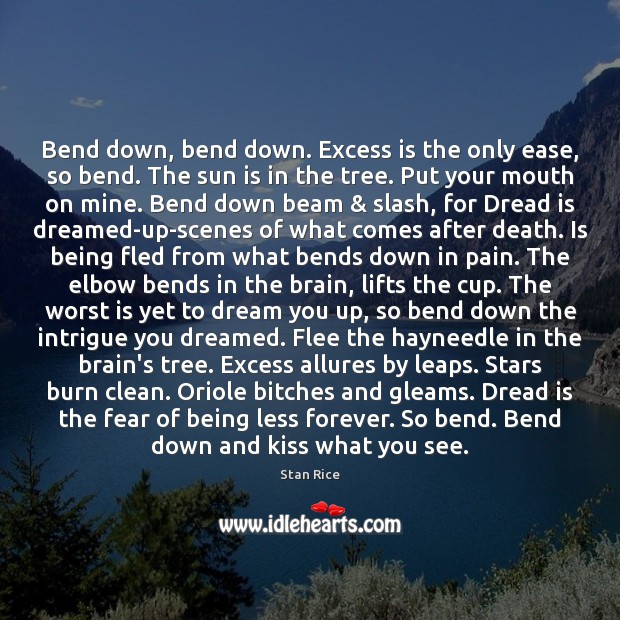 Bend down, bend down. Excess is the only ease, so bend. The Dream Quotes Image