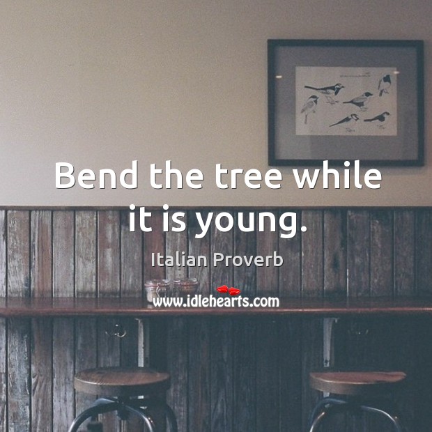 Bend the tree while it is young. Image