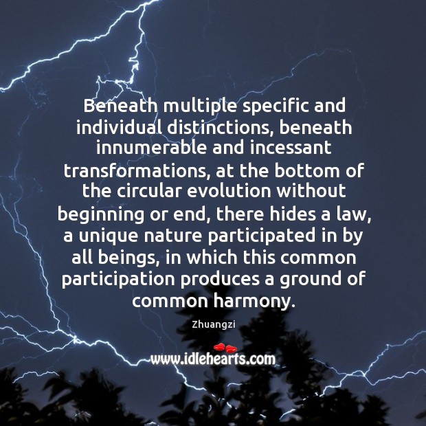 Beneath multiple specific and individual distinctions, beneath innumerable and incessant transformations, at Zhuangzi Picture Quote