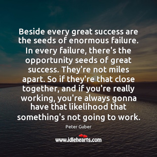 Beside every great success are the seeds of enormous failure. In every Peter Guber Picture Quote