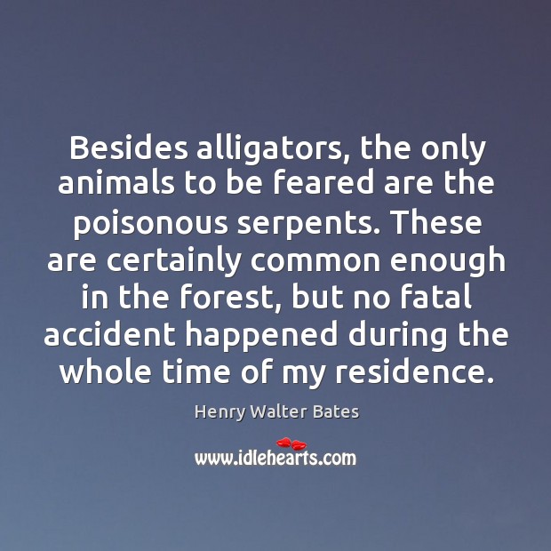 Besides alligators, the only animals to be feared are the poisonous serpents. Henry Walter Bates Picture Quote
