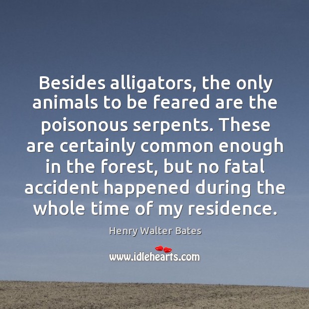 Besides alligators, the only animals to be feared are the poisonous serpents. Henry Walter Bates Picture Quote